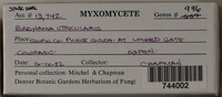 Image Associated With the Occurence